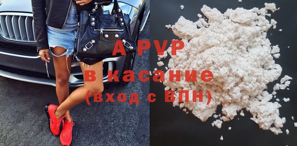 стаф Абаза