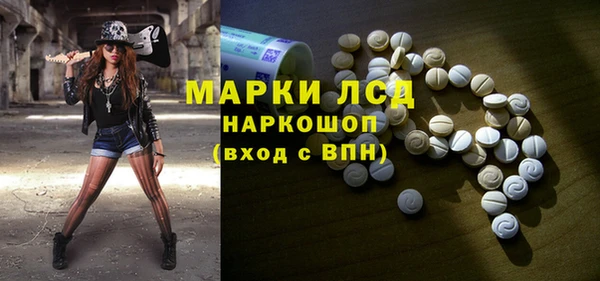индика Абинск