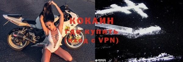 индика Абинск