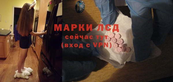 индика Абинск