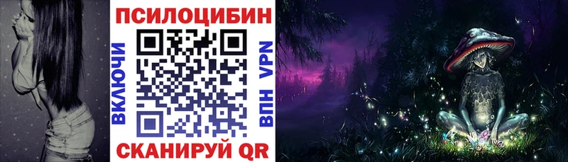 где продают   Канск  Псилоцибиновые грибы Magic Shrooms 