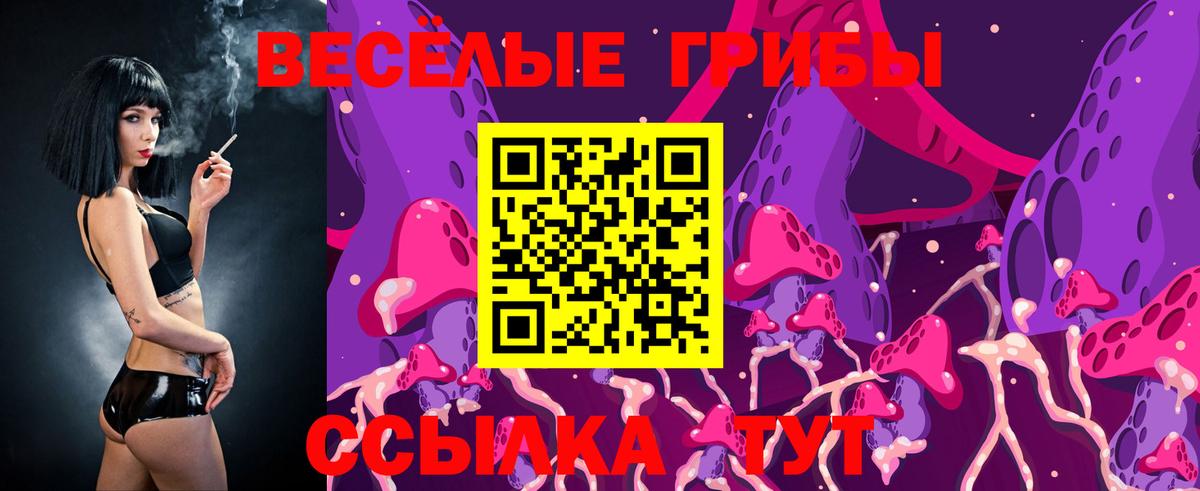 Канск  Псилоцибиновые грибы мухоморы  Галлюциногенные грибы GOLDEN TEACHER  Вход с VPN 